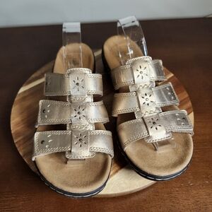 6.5 wide Clark's wedge